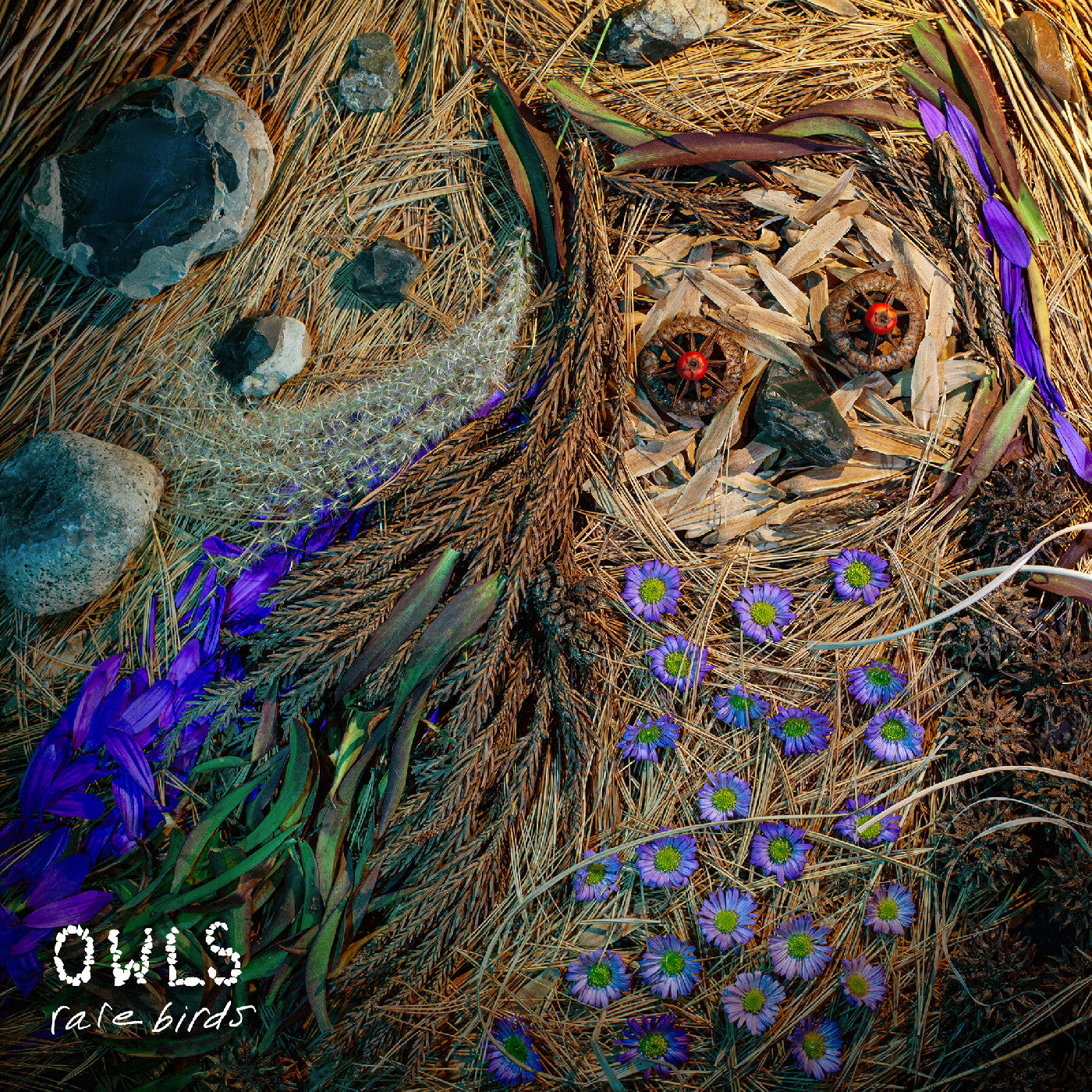 Rare Birds [CD]