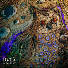 Rare Birds [CD]