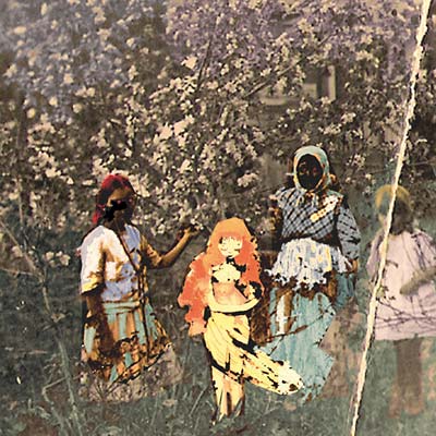 PAAVOHARJU - Laulu Laakson Kukista [CD]