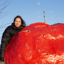 Packs - Crispy Crunchy Nothing [CD]