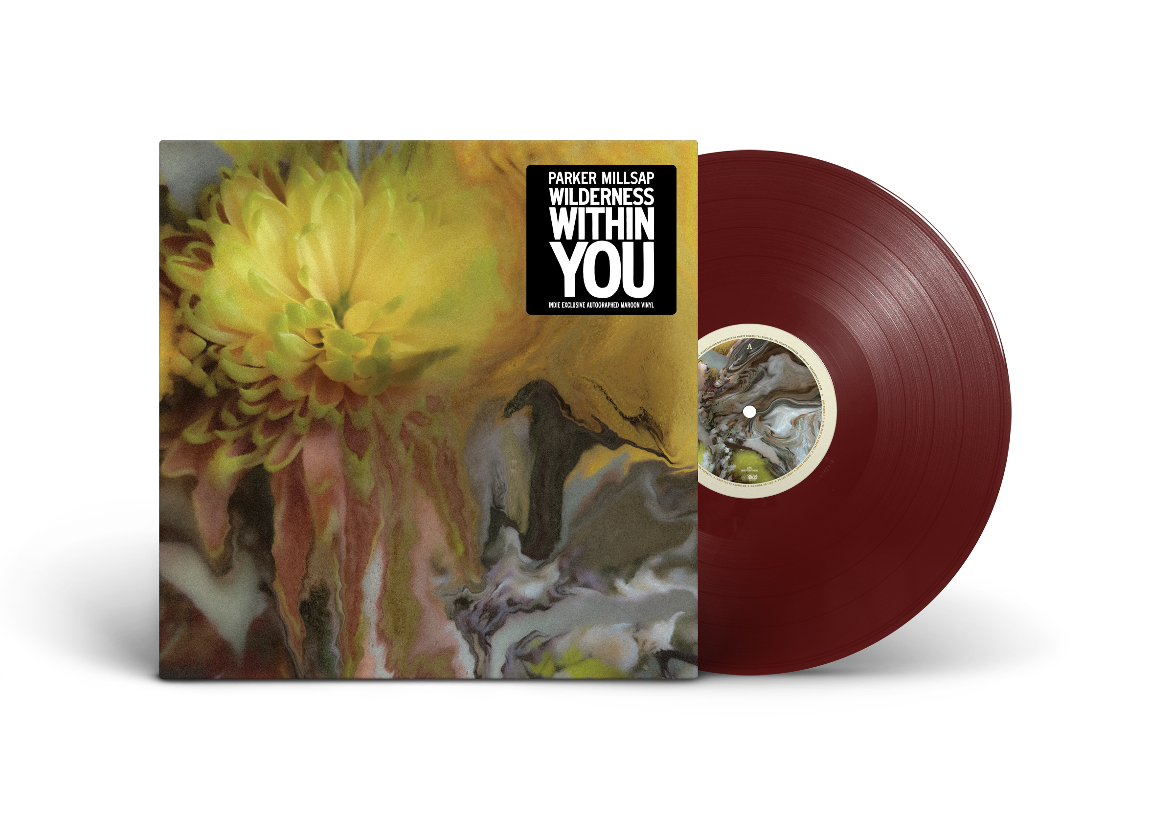 Parker Millsap - Wilderness Within You (Exclusiva independiente) [Vinilo]