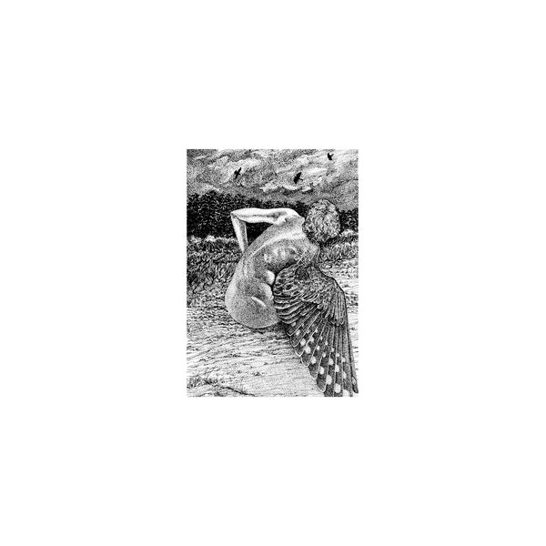 Experimental (Noise)