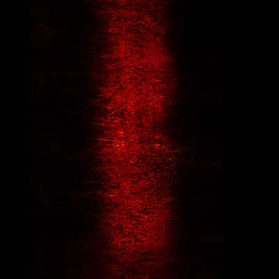 Rites [CD]
