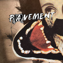 Hecklers Choice: Big Gums And Heavy Lifters - A Pavement Collection [Vinyl]