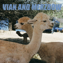 PEDRO VIAN & MERZBOW - Inside Richard Serra Sculptures [Vinyl]