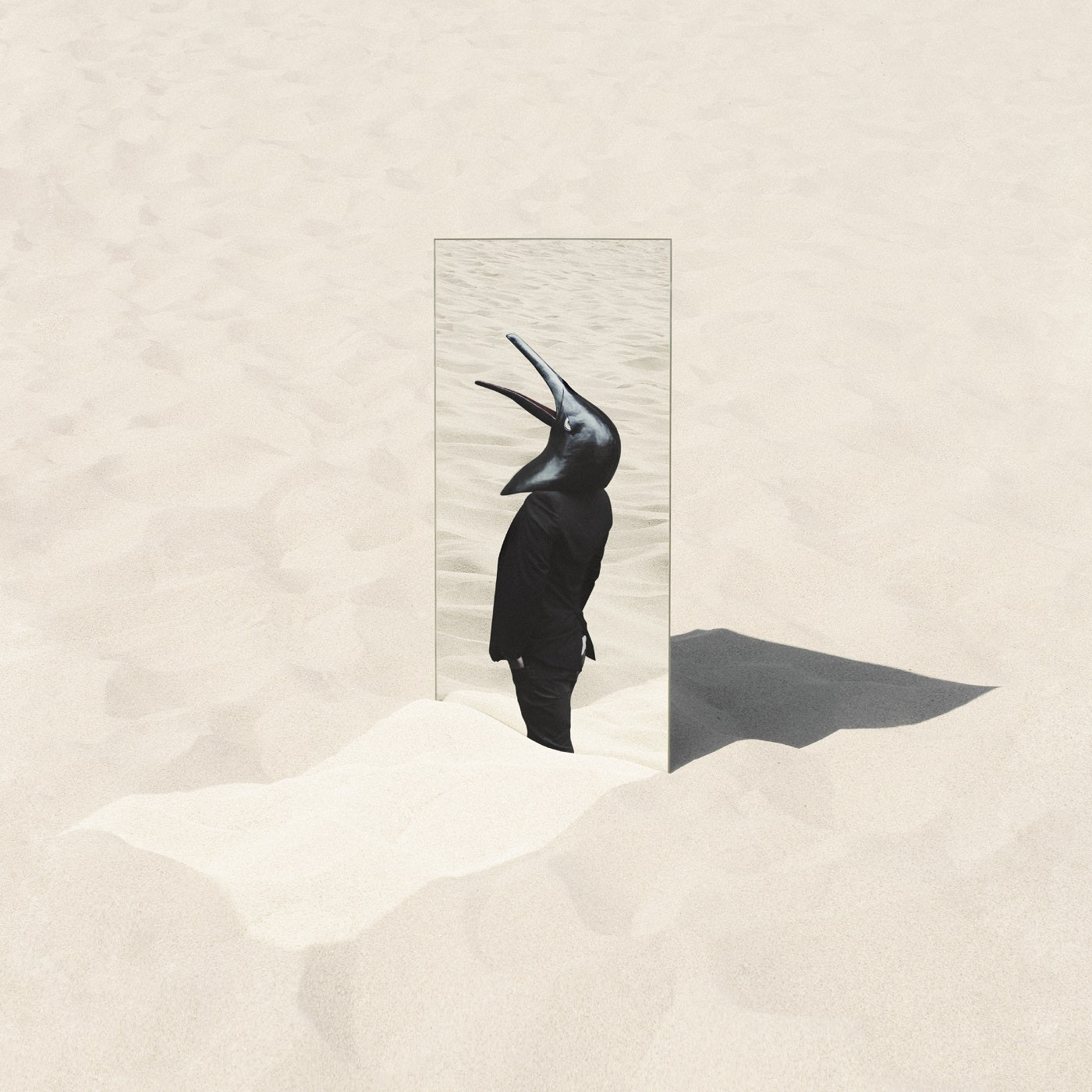 The Imperfect Sea [Vinyl] - Paladin Vinyl