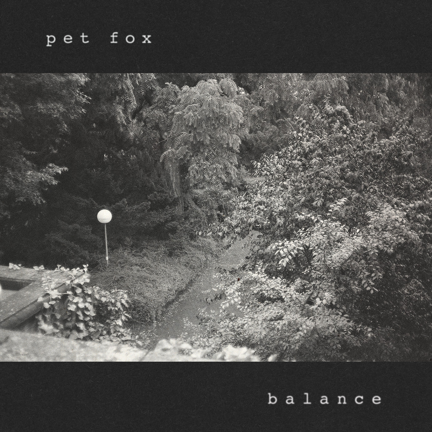 Pet Fox - Balance (Cobweb Colored Vinyl) [Vinyl]
