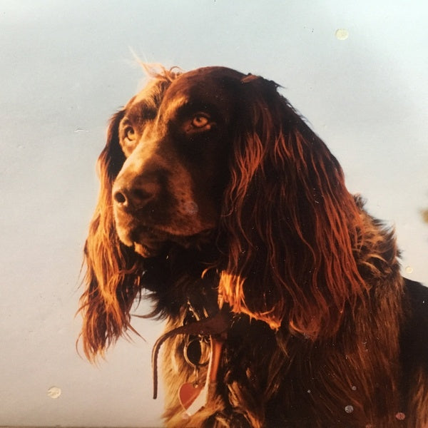 PETER KERNEL - The Size Of The Night [Vinyl]