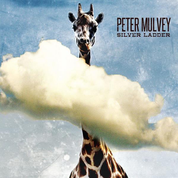 Peter Mulvey - Silver Ladder [CD]