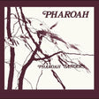 Pharoah Sanders Pharoah (Deluxe Limited Box Set) Vinyl - Paladin Vinyl
