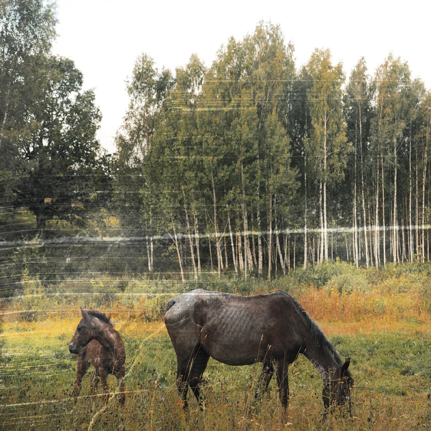 Pianos Become The Teeth - Old Pride (FOREST GREEN VINYL) [Vinyl]