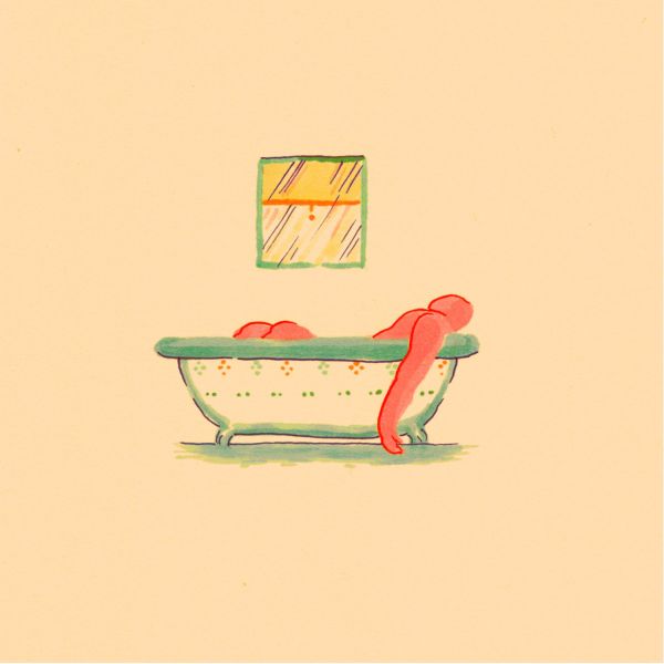 A Hairshirt Of Purpose [Vinyl]
