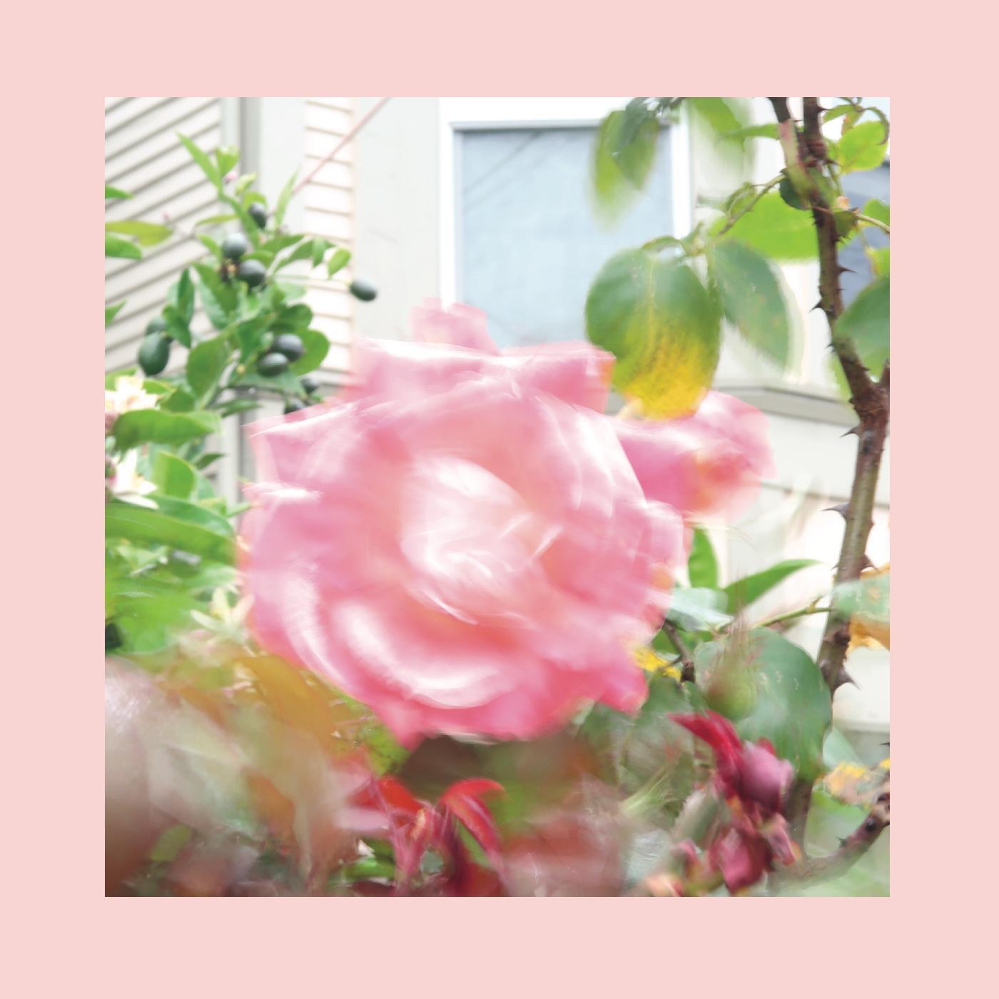 Pinks & Purples Reds - Summer At Land's End (GREEN VINYL) [Vinyl]