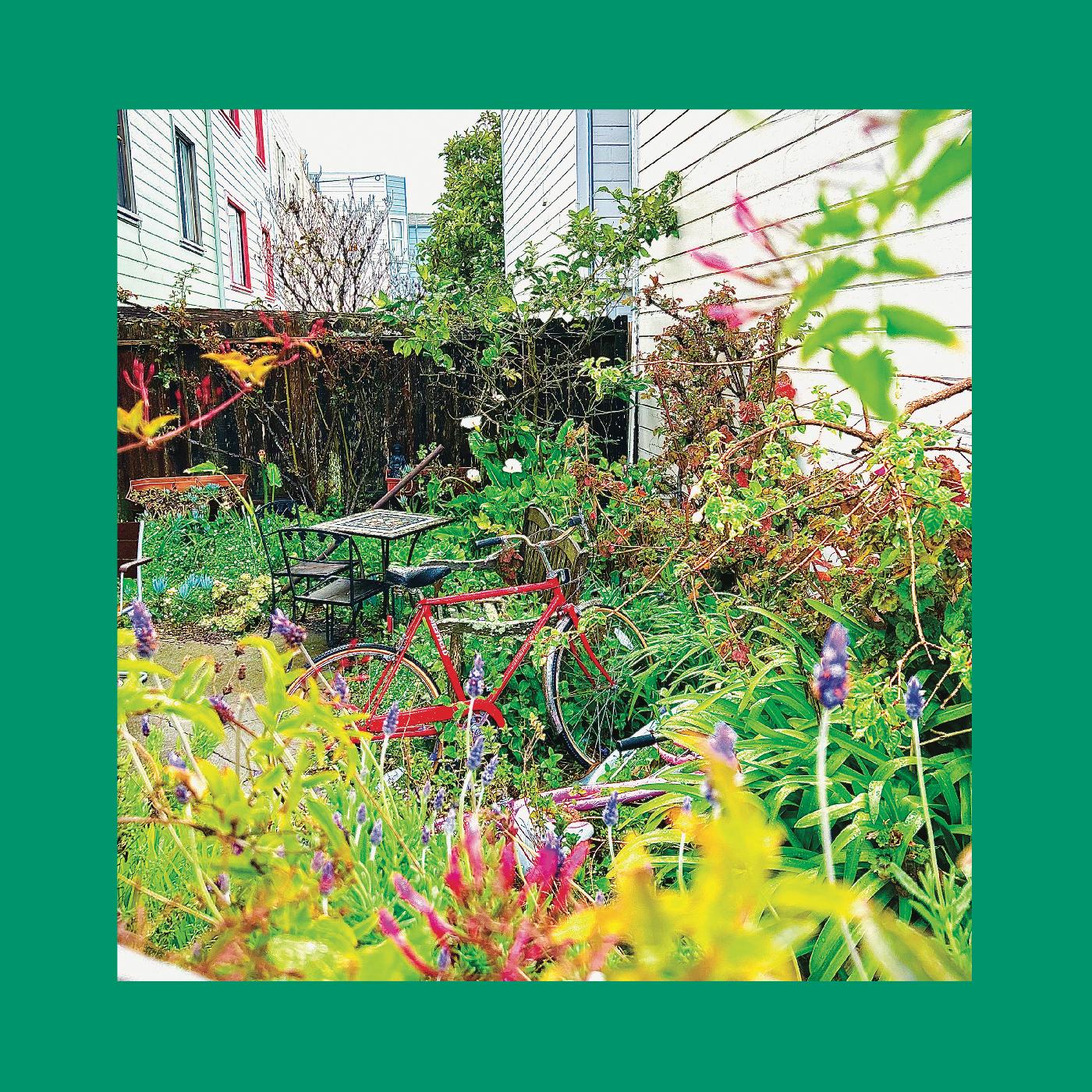 Unwishing Well [CD]