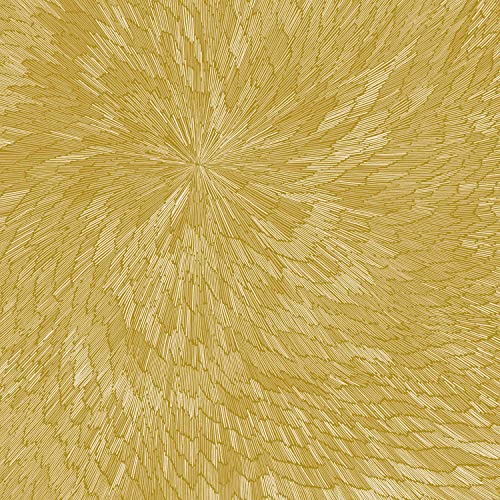 PJEV/Kit Downes/Hayden Chisholm - Medna Roso [LP] [Vinilo]