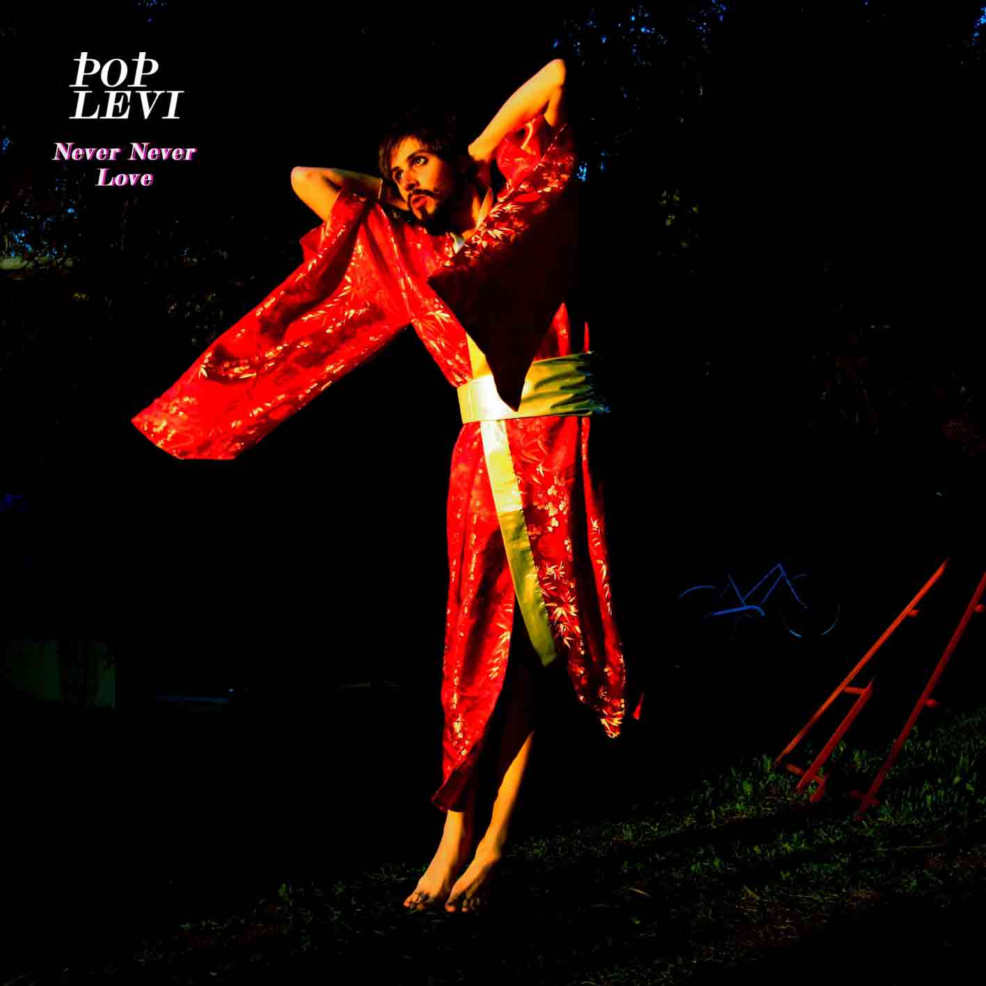 Pop Levi - Never Never Love [Vinyl] - Paladin Vinyl