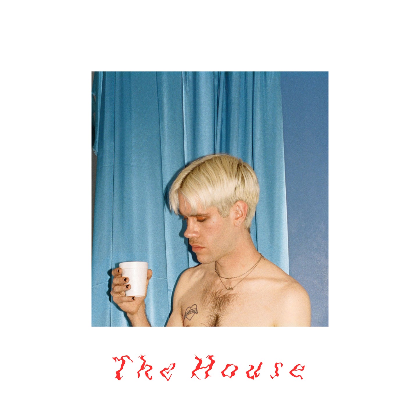 Porches - La Casa [Vinilo]