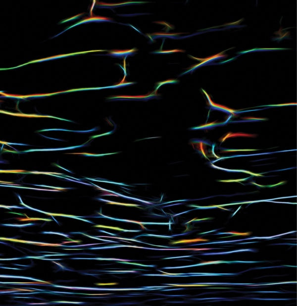 Biokinetics [Vinyl]