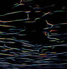 Biokinetics [Vinyl]