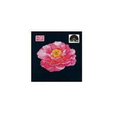 Post Malone Tribute To Nirvana (Rsd 4.12.25) [Vinyl]