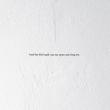 And The Bird Said: Cut Me Open And Sing Me (Indie Exclusive Clear Vinyl) [Vinyl]