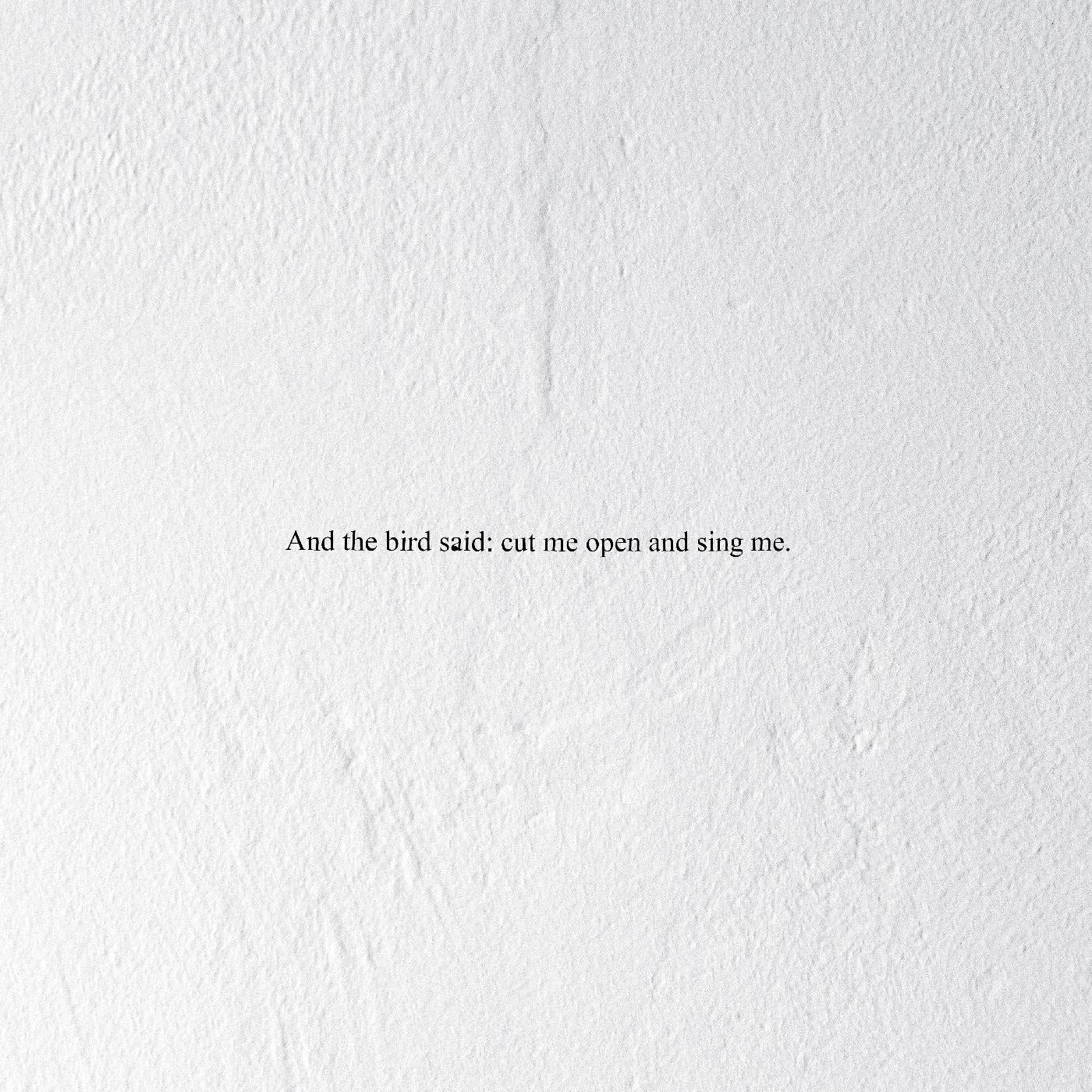 Prairie - And the Bird Said: Cut Me Open and Sing Me [Vinyl]