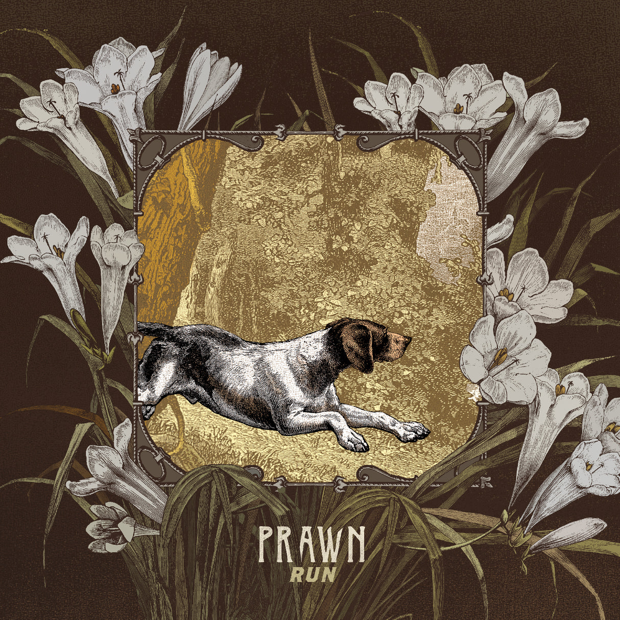 Prawn - Run [CD]