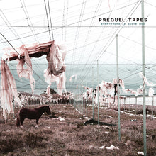 Prequel Tapes - Everything Is Quite Now [Vinyl]