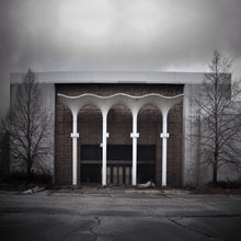 La Princesa Va - GRACIAS POR VENIR [Vinilo]