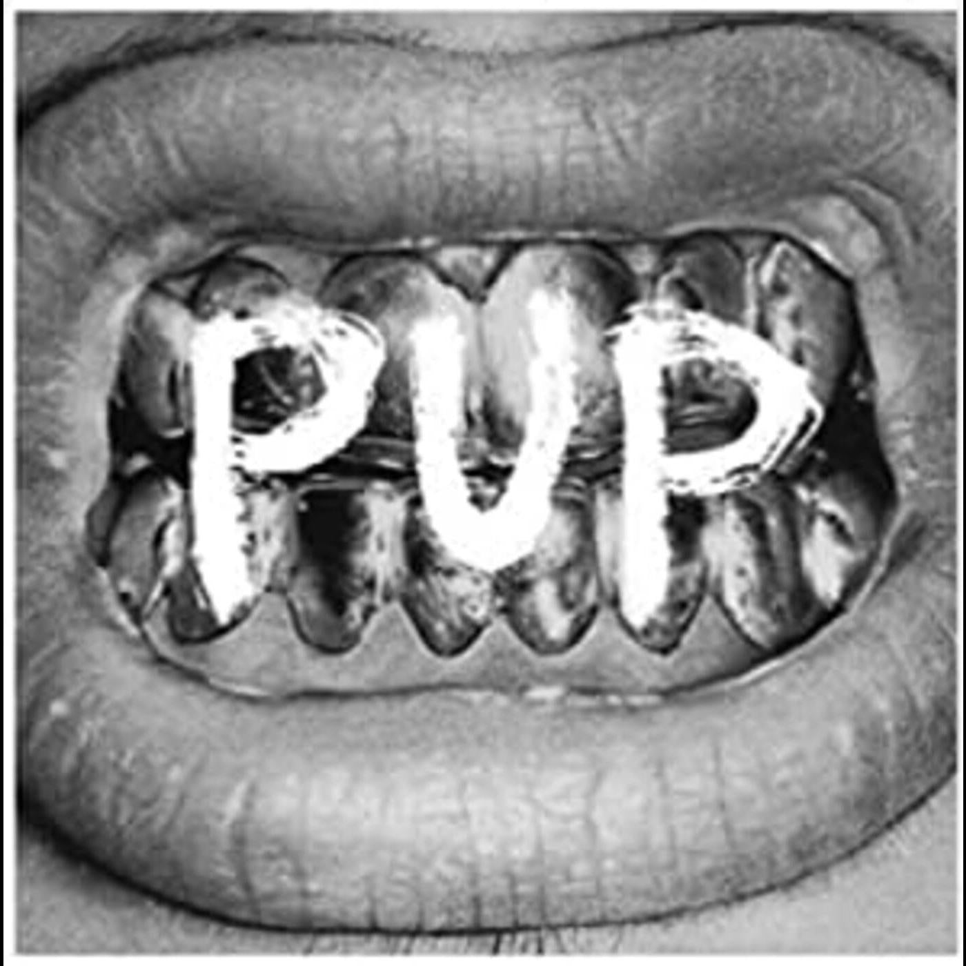 PUP - Cachorro [Vinilo]