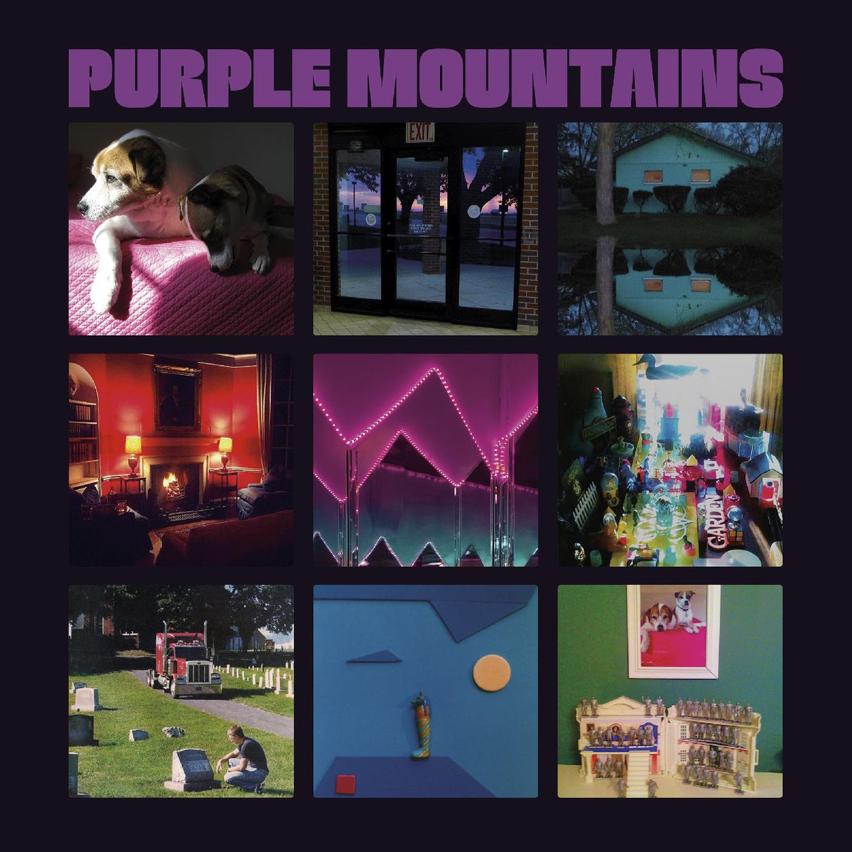 Purple Mountains [Cassette]