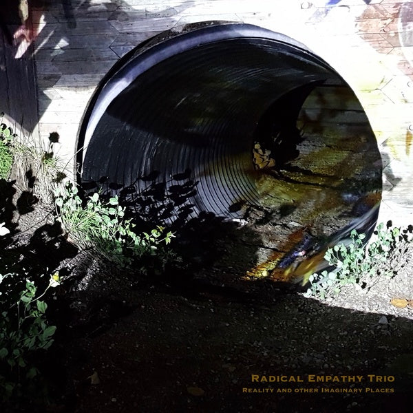 Reality And Other Imaginary Places [Vinyl]