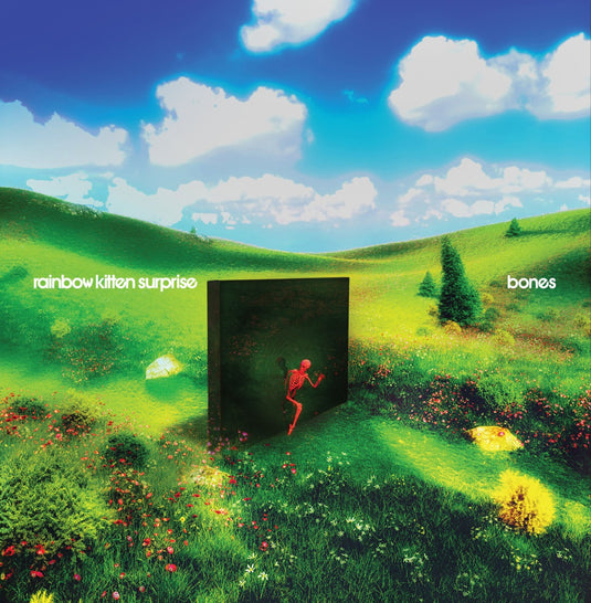 Rainbow Kitten Surprise - Bones (Indie Exclusive Banana Vinyl) [Vinyl]