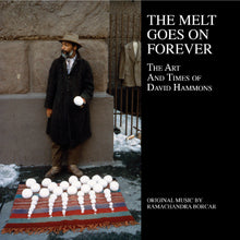 The Melt Goes On Forever: The Art And Times Of David Hammons [LP] [Vinyl]