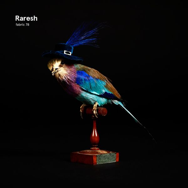 Raresh - Fabric 78 : [CD]