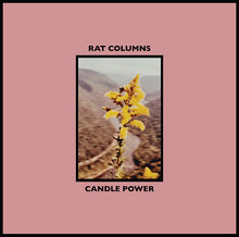 Candle Power [Vinyl]