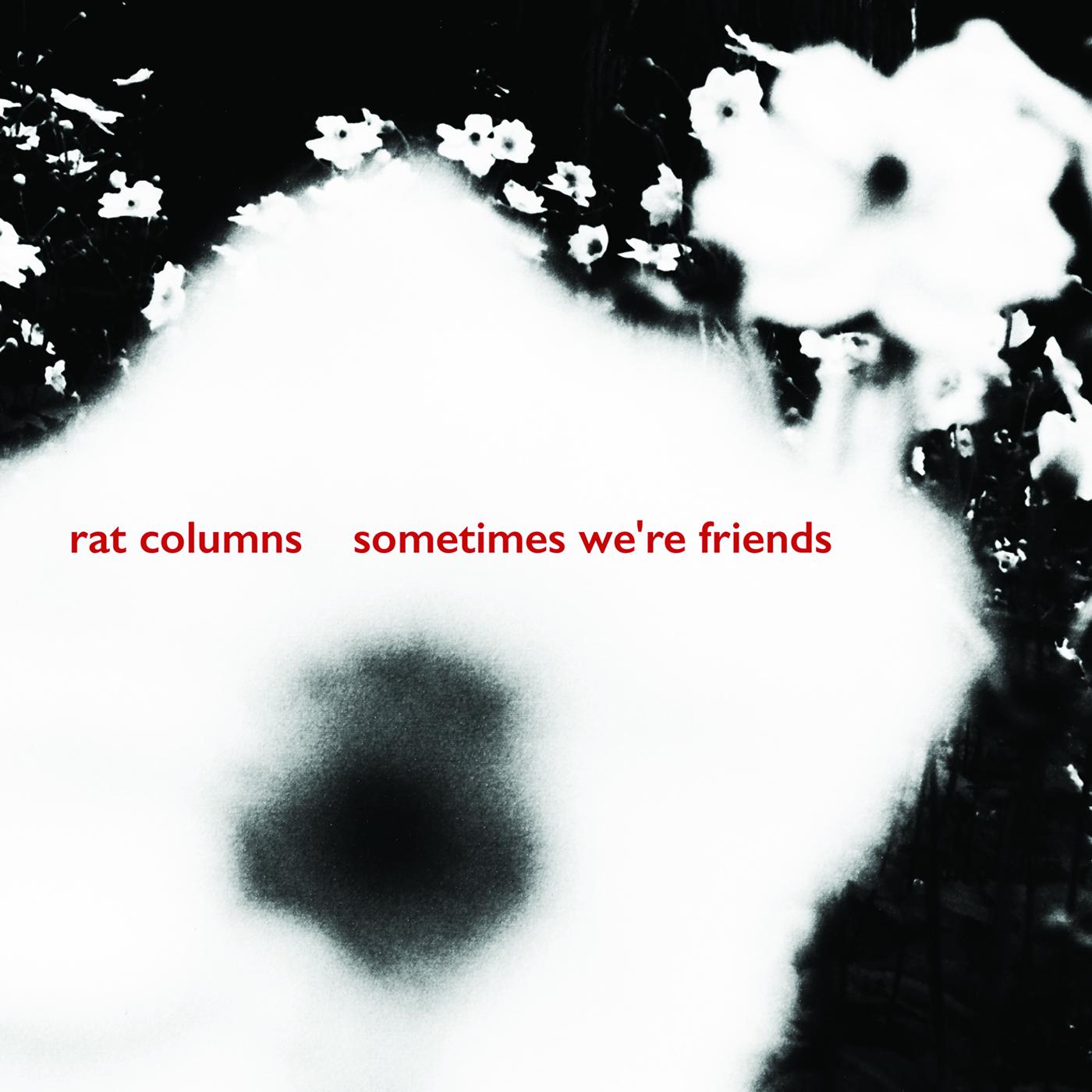Sometimes We're Friends [Vinyl]
