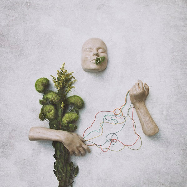 red steppes - A Mouth May Grow [Vinyl] - Paladin Vinyl