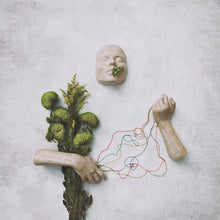 red steppes - A Mouth May Grow [Vinyl] - Paladin Vinyl