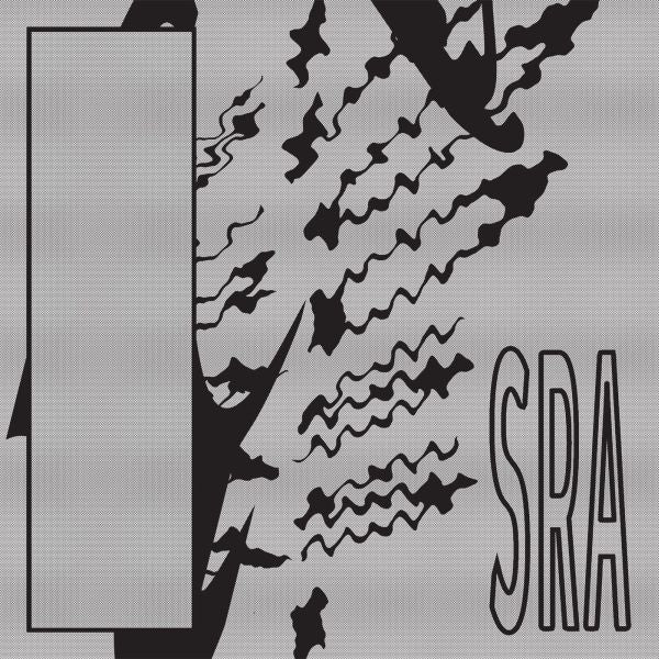 Silk Road Assassins - Reflection Spaces [Vinyl]