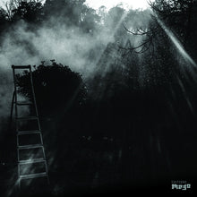 REINHOLD FRIEDL & ERYCK ABECASSIS - Animal Electrique [Vinyl]