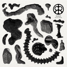 Rejoicer - Spiritual Sleaze [Vinilo]