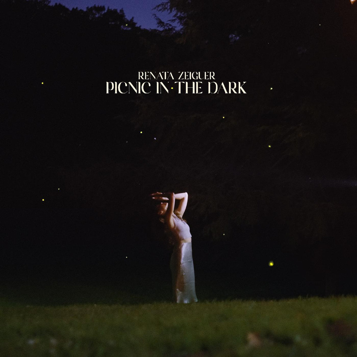 Renata Zeiguer - Picnic in the Dark [CD]