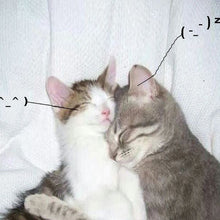 I Love You So! [Cassette]