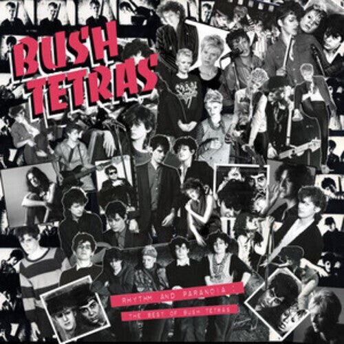 Rhythm & Paranoia: The Best of Bush Tetras (3LP, Book) [Vinyl]