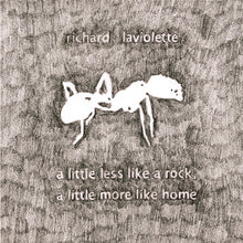 Richard Laviolette - A Little Less Like A Rock, A Little More Like Home [Vinyl]