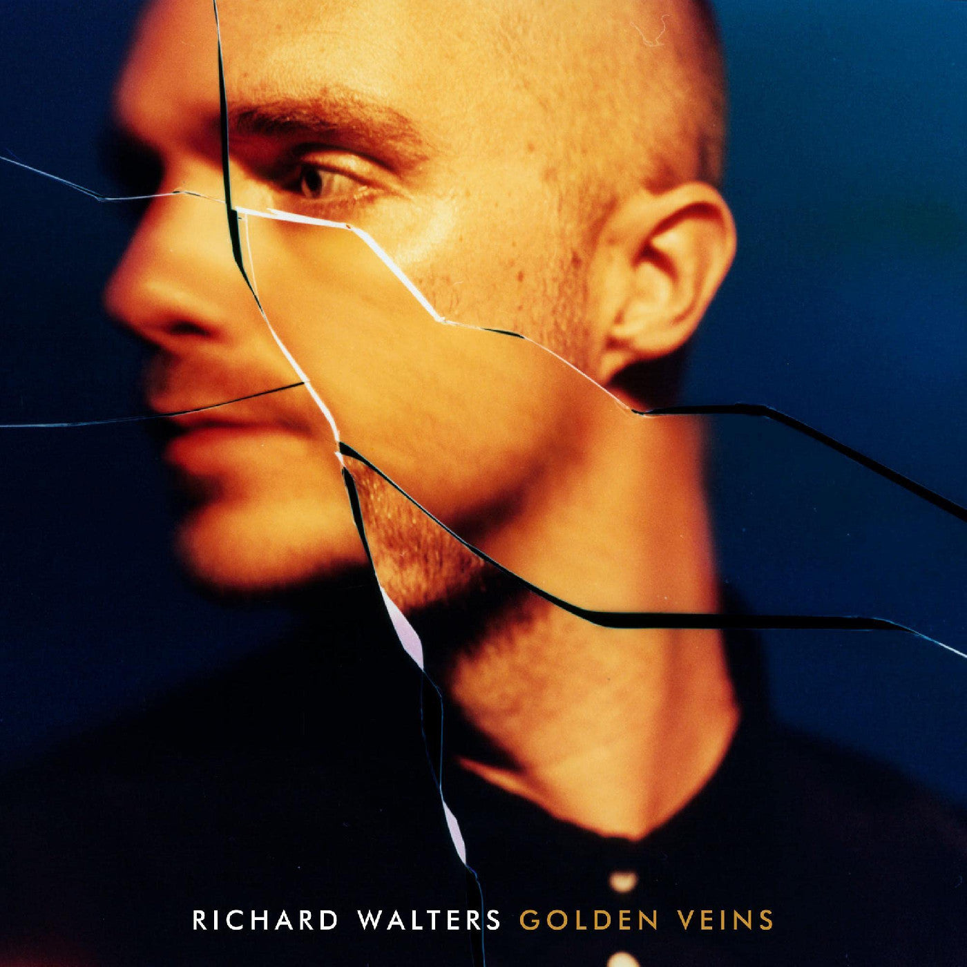 Golden Veins [Vinyl]