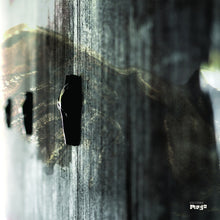 On Feather and Wire [Vinyl]