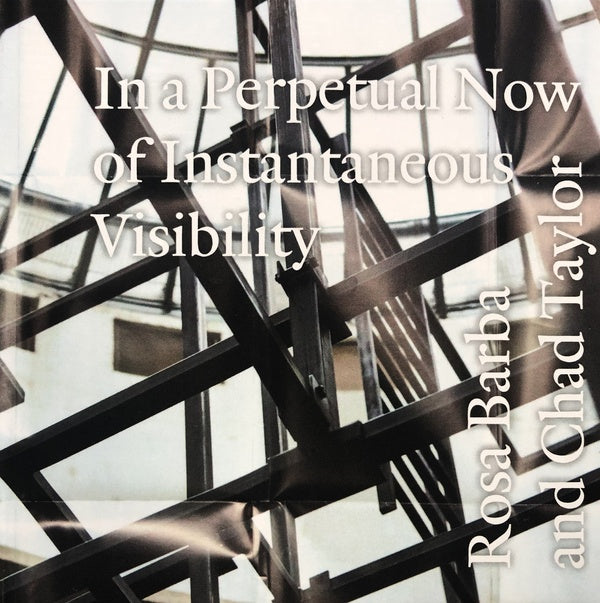 ROSA BARBA AND CHAD TAYLOR - In a Perpetual Now of Instantaneous Visibility [CD]