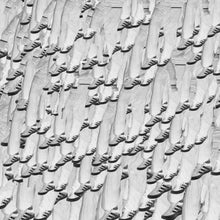 Fingers, Bank Pads & Shoe Prints [CD]